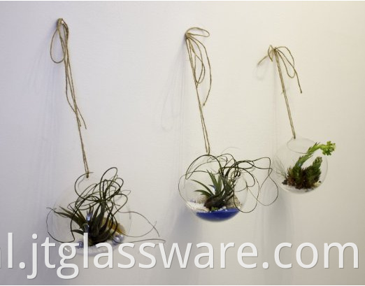 hanging glass terrariums for succulents and air plants (2)